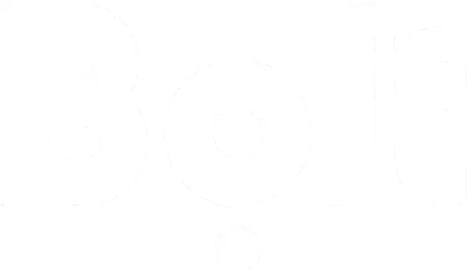 bolt-ng-logo